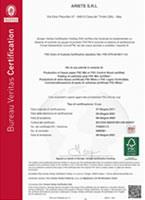 FSC-STD-40-004 V 3.0